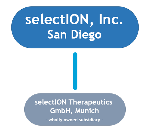 SelectION, Inc. Structure